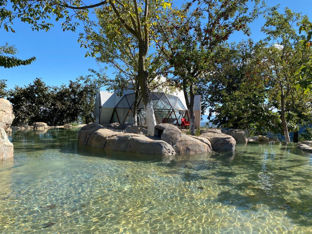 Phalesia Glamping Otel Sapanca Exterior photo