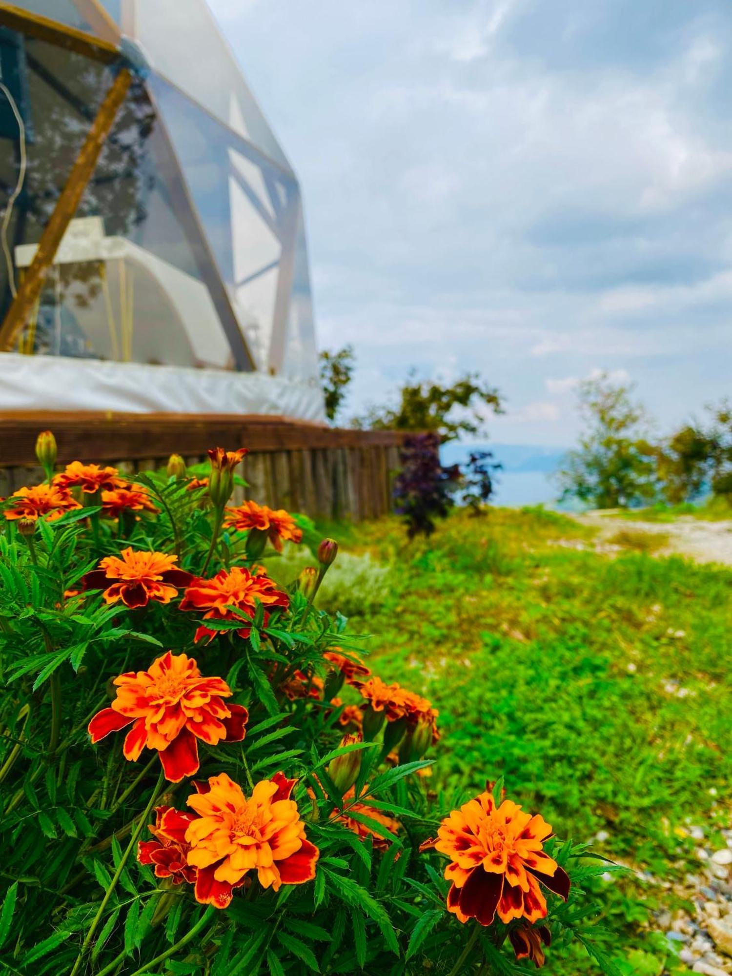 Phalesia Glamping Otel Sapanca Exterior photo
